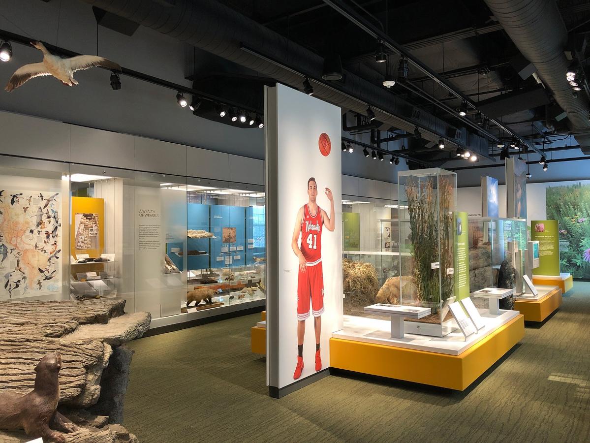 企業(yè)展廳設(shè)計效果3 企業(yè)展廳設(shè)計效果3