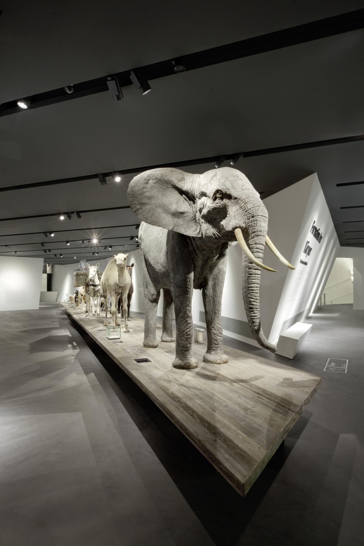 德國軍事歷史博物館5 德國軍事歷史博物館5