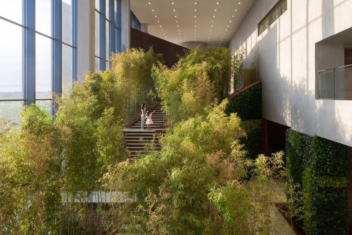 17_以植物為主體的主要建筑公共空間(攝影:曾天培).jpg 17_以植物為主體的主要建筑公共空間(攝影:曾天培).jpg